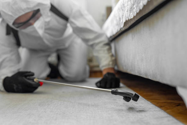 Professional Bed Bug Control technician working in Idaho County County, ID